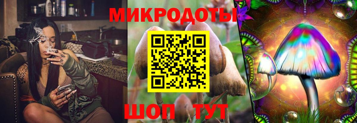Сосновый Бор  Псилоцибиновые грибы прущие грибы  Галлюциногенные грибы GOLDEN TEACHER  Вход с VPN 